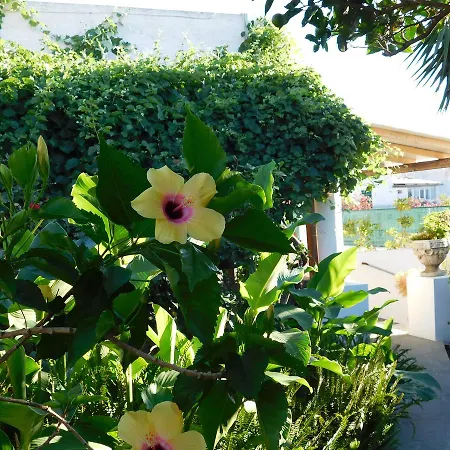 Apart Otel La Pergola