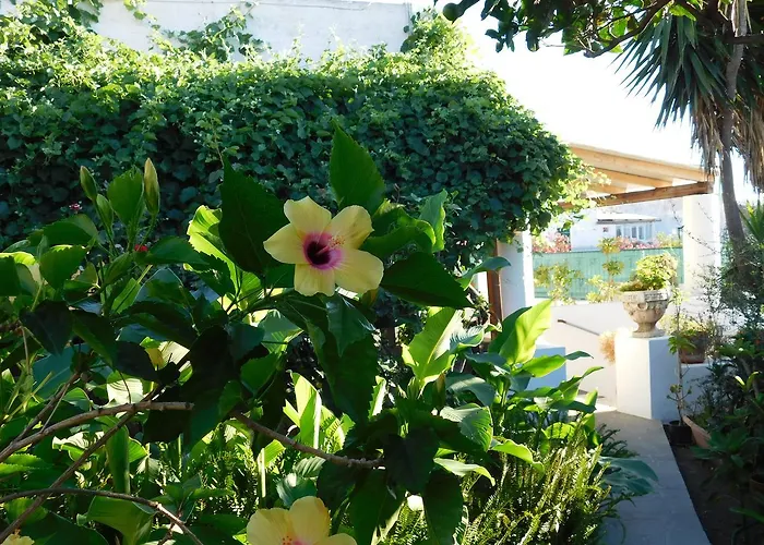 Aparthotel La Pergola